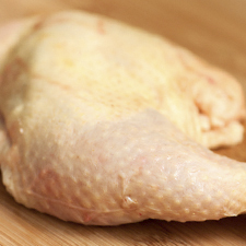 Pollastre